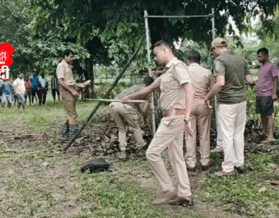 Leopard trapped in cage in Gayerkata tea garden, a sigh of relief in labour colony!