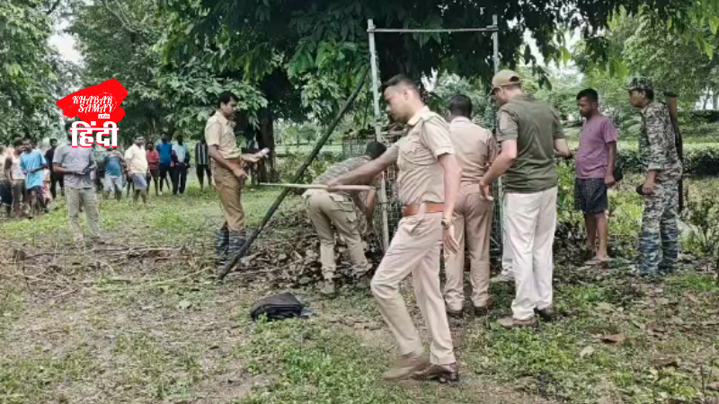 Leopard trapped in cage in Gayerkata tea garden, a sigh of relief in labour colony!