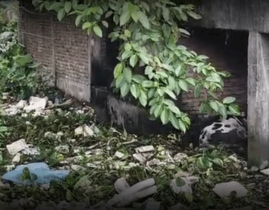 Siliguri's 46th Ward No. Pahari River's misery, local anger!