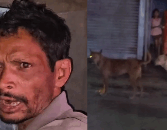 Inhuman incident in Siliguri – Innocent dog brutally killed, municipal corporation worker arrested!