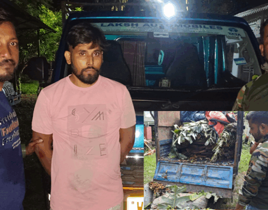 Wood worth lakhs of rupees recovered in Siliguri, one arrested!