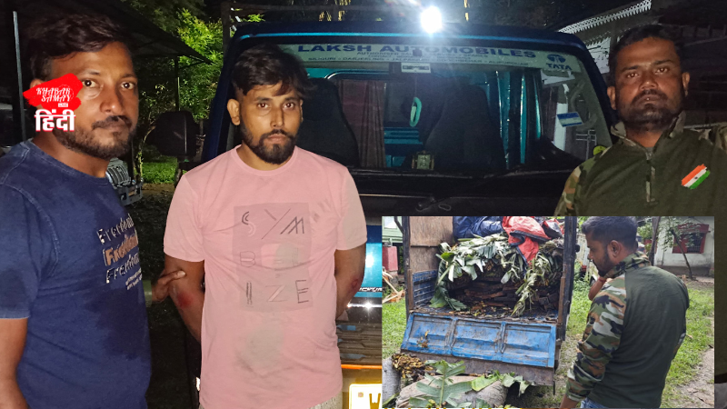 Wood worth lakhs of rupees recovered in Siliguri, one arrested!