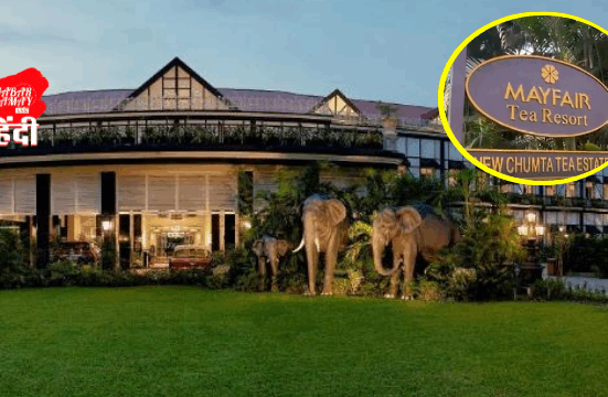 Mayfair Tea Resort theft case: The law has a long arm!