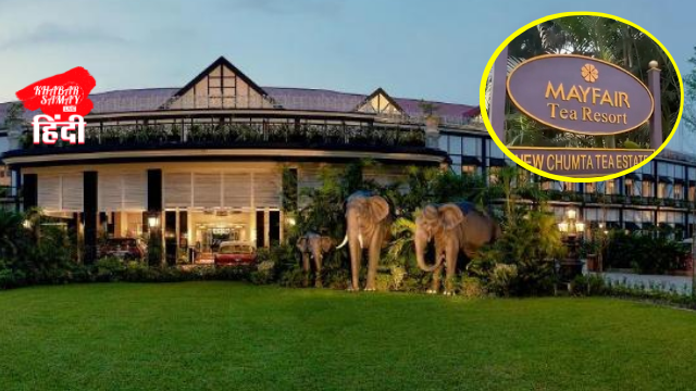 Mayfair Tea Resort theft case: The law has a long arm!