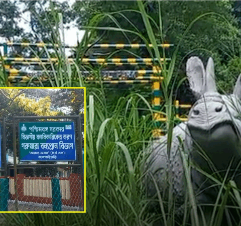 Good news for tourists just before Durga Puja!