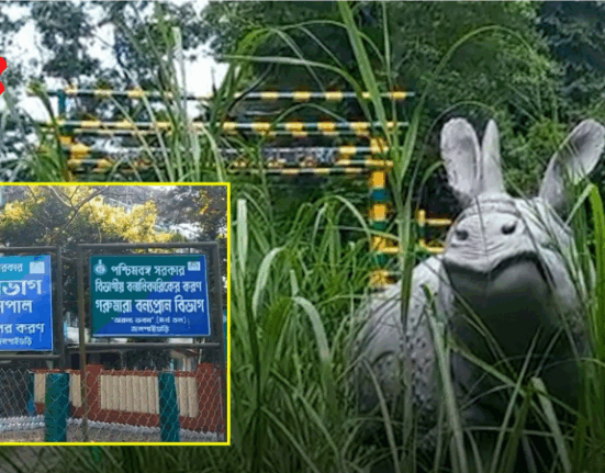 Good news for tourists just before Durga Puja!