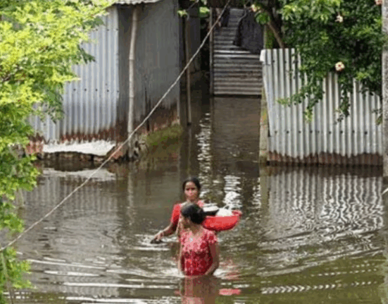how-high-is-the-risk-of-epidemic-in-north-bengal