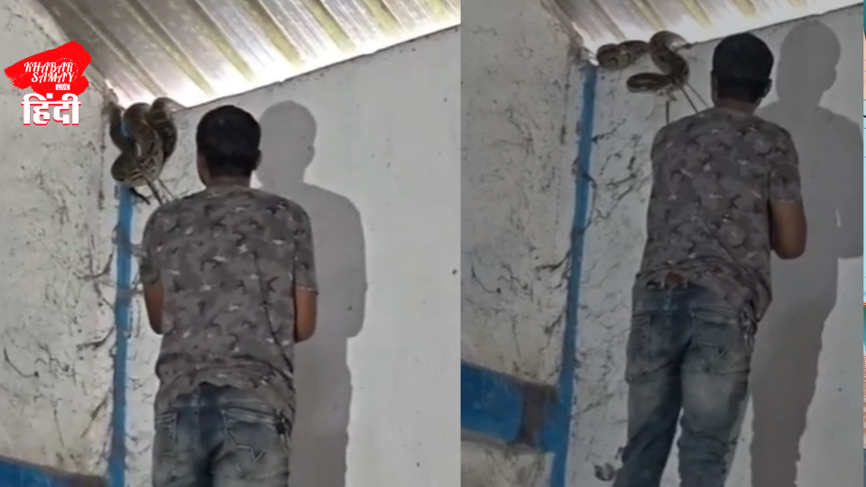 siliguri-a-10-foot-long-python-emerges-from-a-warehouse