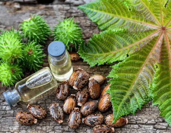 ISI had planned to kill Indians by poisoning water sources!