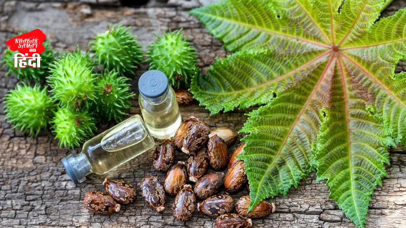 ISI had planned to kill Indians by poisoning water sources!