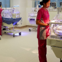 Which central government order has caused a stir in nursing homes and private hospitals?