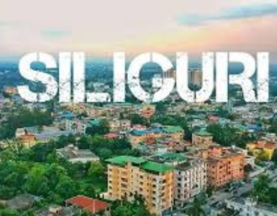 Who will win the Siliguri assembly seat?