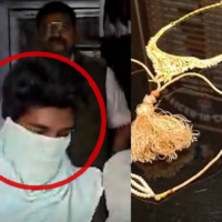 https://khabarsamay.com/theft-at-wedding-house-accused-arrested-stolen-goods-recovered/