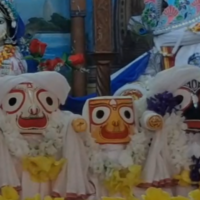 https://khabarsamay.com/jalpaiguri-is-filled-with-enthusiasm-for-the-bathing-procession-of-lord-jagannath-the-festival-was-celebrated-with-devotion-at-the-gaudiya-math/