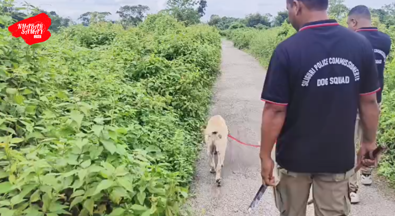 https://khabarsamay.com/headless-body-found-in-a-tea-garden-in-bagdogra-panic-grips-the-area/