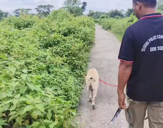 https://khabarsamay.com/headless-body-found-in-a-tea-garden-in-bagdogra-panic-grips-the-area/