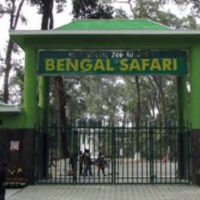 https://khabarsamay.com/why-did-3-rare-animals-including-deer-die-in-bengal-safari/