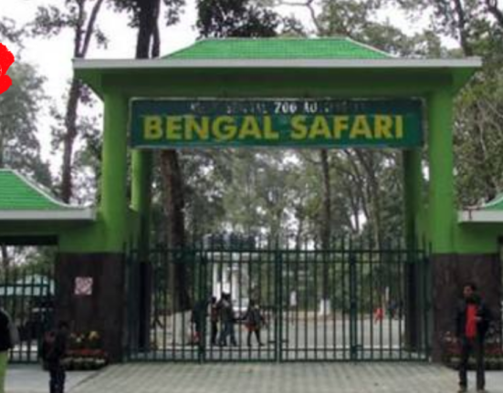 https://khabarsamay.com/why-did-3-rare-animals-including-deer-die-in-bengal-safari/