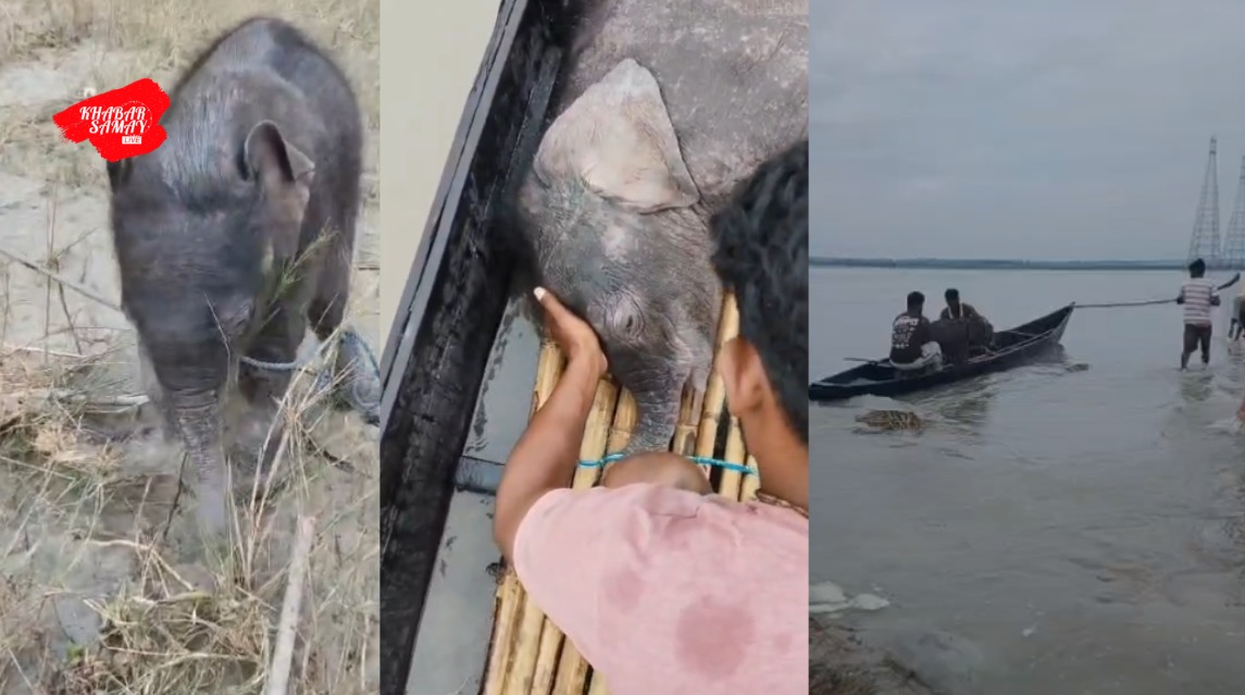 https://khabarsamay.com/the-baby-elephant-swept-away-by-the-strong-current-of-the-teesta-river-reunites-with-its-mother-the-forest-departments-presence-of-mind-saves-its-life/
