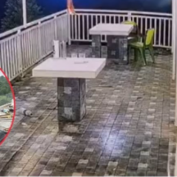 https://khabarsamay.com/honeymoon-bliss-turns-into-tragedy-bride-suffers-serious-burns-from-fire-during-barbecue-in-sittong/