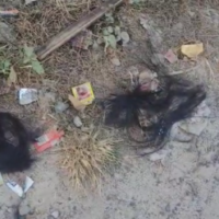 https://khabarsamay.com/shocking-incident-in-siliguri-why-did-a-young-man-attack-a-female-teacher-with-a-knife-in-broad-daylight/