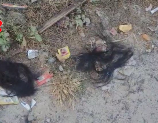 https://khabarsamay.com/shocking-incident-in-siliguri-why-did-a-young-man-attack-a-female-teacher-with-a-knife-in-broad-daylight/